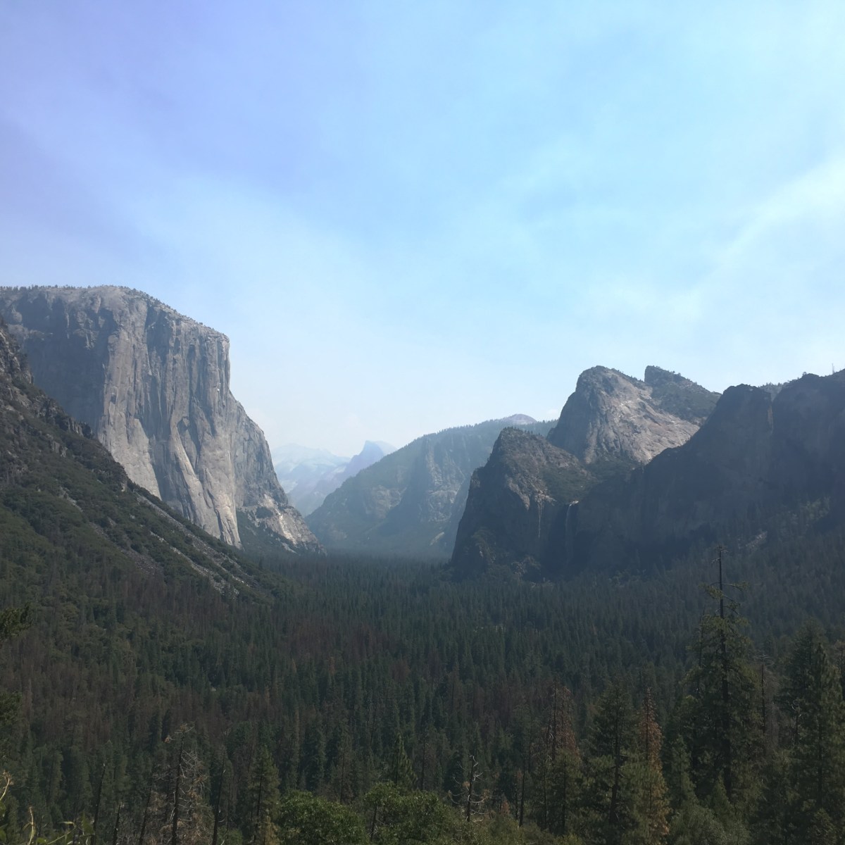 California